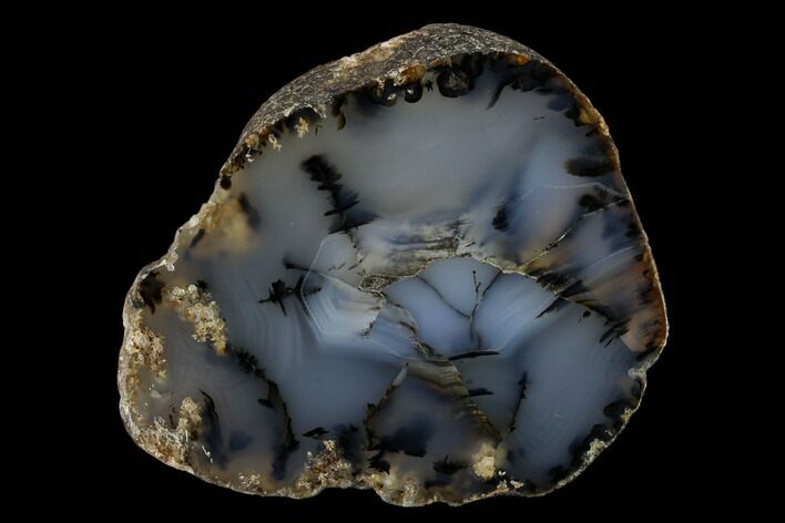 Polished Yellowstone River Agate Section - Montana #150549
